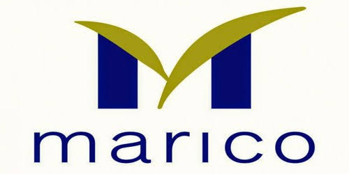 marico-q2-results-fmcg-giant-s-net-profit-jumps-20-to-433-crore